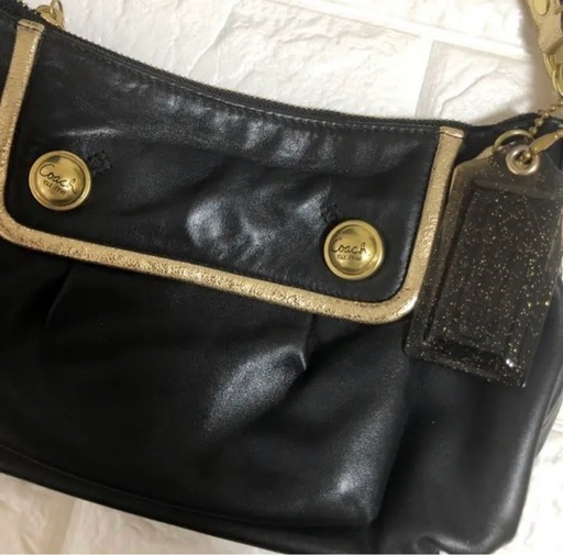 【希少品】COACH レザーショルダーバッグ ポピー　本革