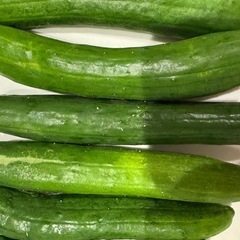 夏野菜　胡瓜の画像