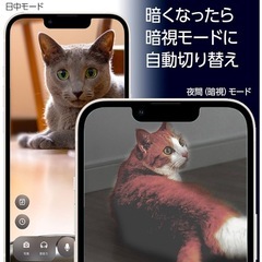 自動給餌器 6l スマホ連動 カメラ付　猫犬の画像