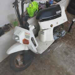 ホンダスカッシュの画像