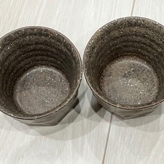 コップ 2個の画像