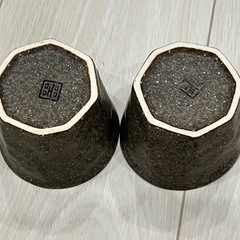 コップ 2個の画像