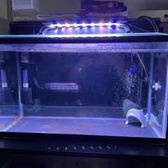 60cm水槽セットの画像