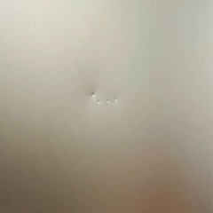 【ニトリ】姿見（割れない軽量フィルムミラー）の画像