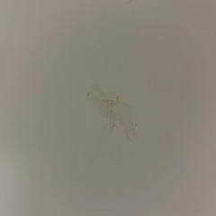 90センチ水槽棚の画像