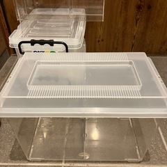 ヘラクレスオオカブト飼育用品一式の画像