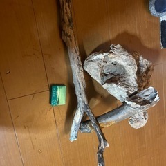流木、アクアリウム
の画像
