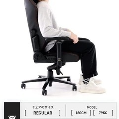 SECRETLAB TITAN EVO BLACK XLの画像