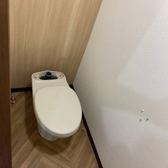 ヘリンボーンcf 1.6m巻き　幅103cmの画像