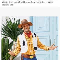 ウッディ コスチューム 大人用　アメリカで購入　woody costumeの画像