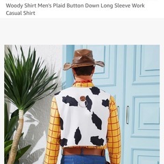 ウッディ コスチューム 大人用　アメリカで購入　woody costumeの画像