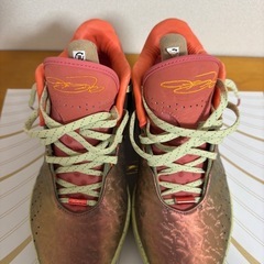 Lebron 21 Queen Conch レブロン２の画像