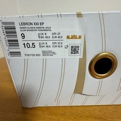 Lebron 21 Queen Conch レブロン２の画像