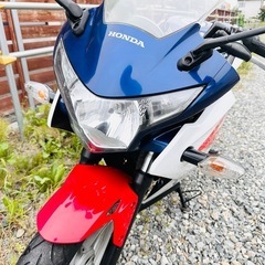 北海道　ホンダ　CBR250 純正トリコロールカラー　走行少ない！の画像