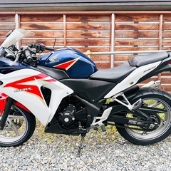 北海道　ホンダ　CBR250 純正トリコロールカラー　走行少ない！の画像