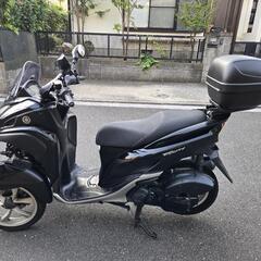 トリシティ 125 側車登録 ワイトレの画像