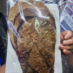 インドネシア産 モモタマナの葉 10枚（約25g〜） マジックリーフの画像