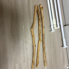流木
の画像