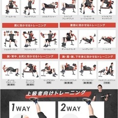 マルチベンチ マルチシットアップベンチ 折り畳み フラットベンチ 腹筋 背筋 ダンベル プレス用 トレーニングベンチ 腹筋台 とSTEADYのディップススタンドとの画像