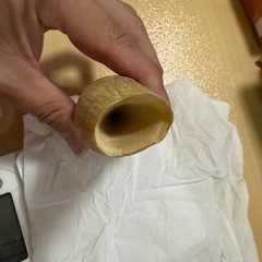 抹香鯨牙　マッコウクジラ牙の画像