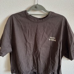 Tシャツ 3枚セットの画像