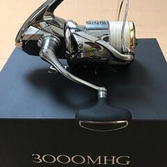 18ステラ 3000MHGの画像