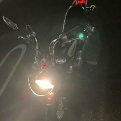 モンキー、Z50J、デイトナ、タケガワ、ケイヒン12Vの画像