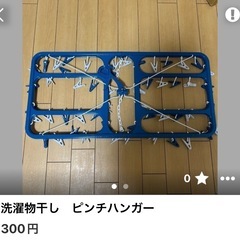 ［取引決定しました］洗濯物干し　ピンチハンガーの画像