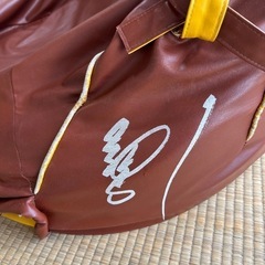 イチローグローブクッションの画像