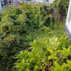 元気なおばちゃん達が草刈りに伺います！