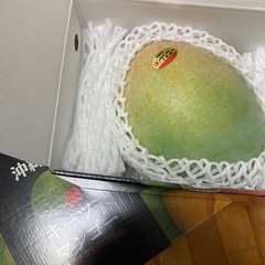 【贈答用】キーツマンゴー　900gの画像