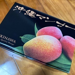 【贈答用】キーツマンゴー　900gの画像