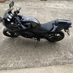 カワサキ  Ninja250R の画像