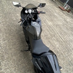 カワサキ  Ninja250R の画像