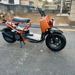 ホンダ ズーマー の画像