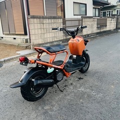 ホンダ ズーマー の画像