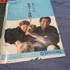 1984年の週刊ベースボールの画像