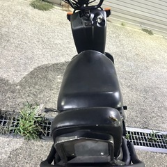 堺市南区発　ホンダ　ズーマー　AF58 バックレスト　スパトラマフラー　オイル交換済み　実働　格安　配送可　の画像
