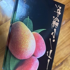 贈答用キーツマンゴー　2玉1.2キロの画像