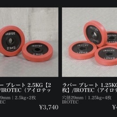 IROTEC   ラバー プレート ダンベル　10キロの画像