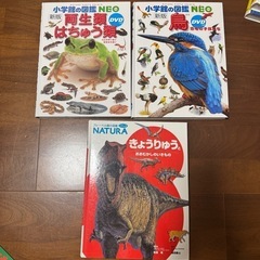 サムネイル