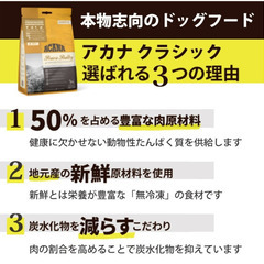 【配送可】ACANAアカナクラッシックワイルドコーストレシピ9.7kgドッグフード大容量サーモンニシンオーツ野菜果物魚 皮膚毛艶 成犬用お買い得 ペット わんこ ワンちゃんごはん 大容量の画像