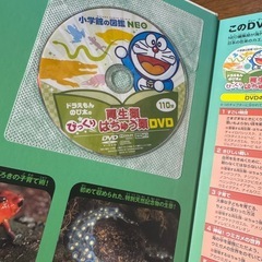 図鑑3冊セットの画像