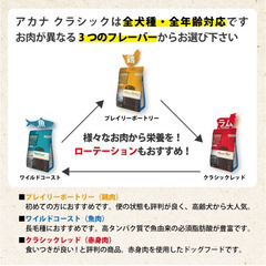 【配送可】ACANAアカナクラッシックレッドミートレシピ9.7kg ドッグフード大容量ラム肉牛肉豚肉オーツ野菜果物 成犬用お買い得 中型犬大型犬 ペット わんこ ワンちゃんごはん 大容量の画像