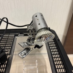 水槽、爬虫類ライトの画像
