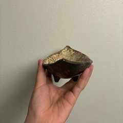 食器　皿の画像