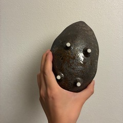 食器　皿の画像