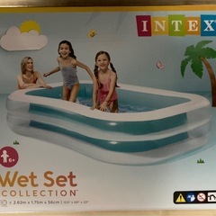 INTEXプールの画像