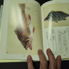 Fishes of Japan　「魚の手帖」　小学館の画像