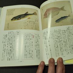 Fishes of Japan　「魚の手帖」　小学館の画像